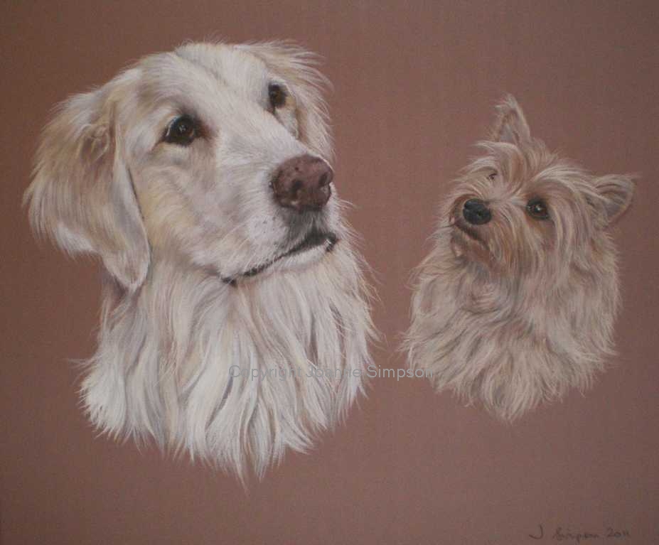 Golden Retriever pet portrait by Joanne Simpson.